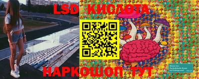 спиды Кинель