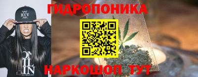 спиды Кинель
