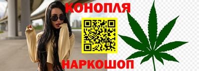 Альфа ПВП Кингисепп