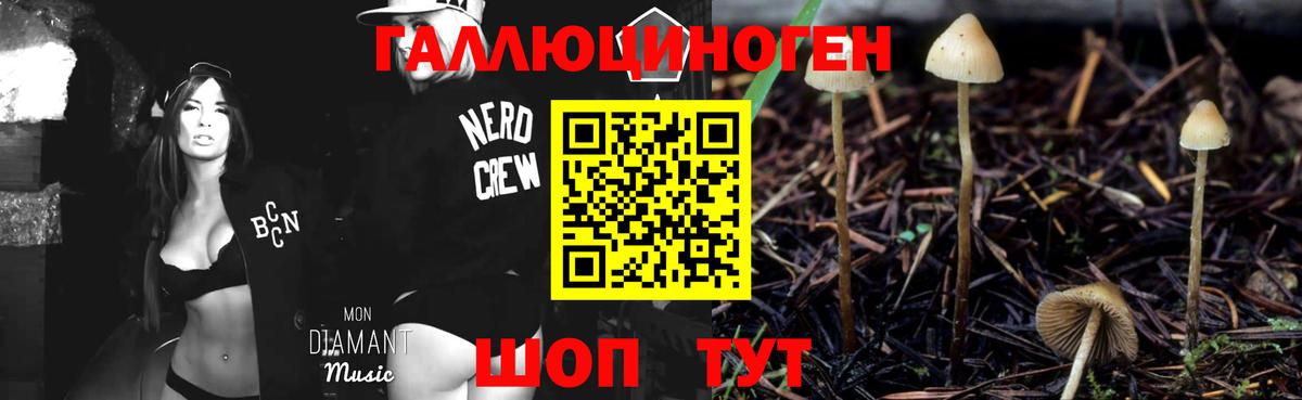Кизляр  Галлюциногенные грибы Cubensis  Псилоцибиновые грибы Psilocybe  Вход с VPN 